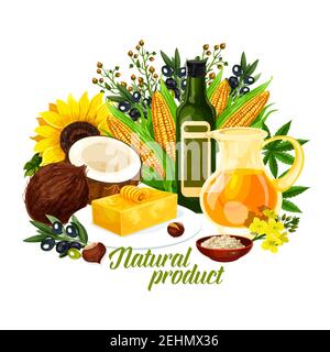 Natural oil products, organic plants. Golden corn and coconut, sunflower and butter, colza oil and rapeseed flowers, extra virgin black and green oliv Stock Vector