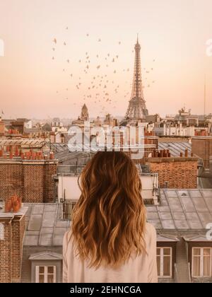 Paris skyline Stock Photo