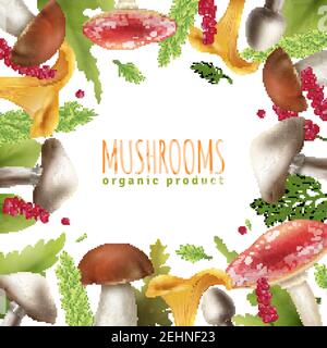 Decorative square frame background poster of wild forest mushrooms edible and poisonous with leaves realistic vector illustration Stock Vector