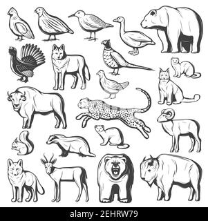 Wild animals and birds, hunting sport. Vector monochrome bear, wolf and cheetah, buffalo, lynx and bison, pheasant, quail and goose, gazelle, grizzly Stock Vector