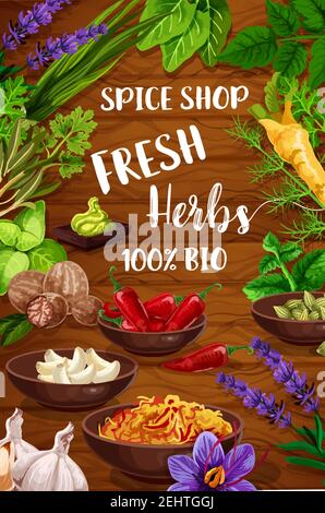 Herb and spice vector condiments, culinary plants and aromatic flowers. Garlic, green basil and rosemary, parsley, pepper and oregano, onion, sage and Stock Vector