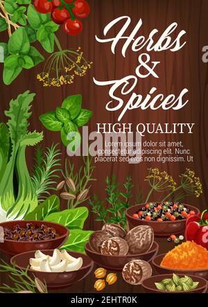 Herbs and spices poster of culinary ingredients and cooking herbal