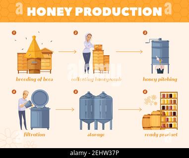 Beekeeping and honey production or apiary infographic poster template ...