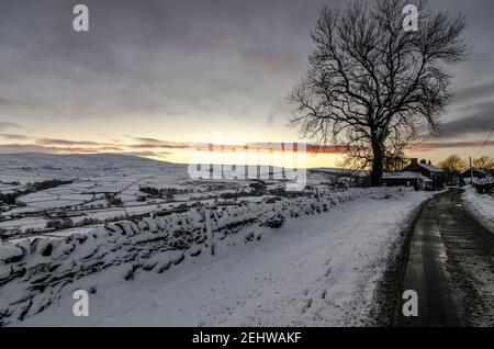 A snowy landscape with a lone tree against a golden, early evening sky in the North Pennines, Weardale, County Durham Stock Photo