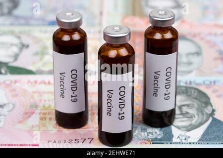 Vaccine against Covid-19 on the background of Mauritian rupee Stock Photo