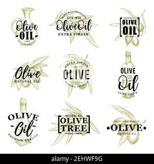 Olive oil icons of green and black olives, extra virgin products in bottles and jugs. Vector organic cooking dressing ingredient of Italian cuisine, l Stock Vector