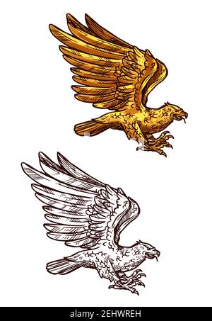 Eagle, falcon, hawk or phoenix sketch of golden bird flying with raised wings. Falconry hunting emblem, vintage royal heraldry element or tattoo vecto Stock Vector