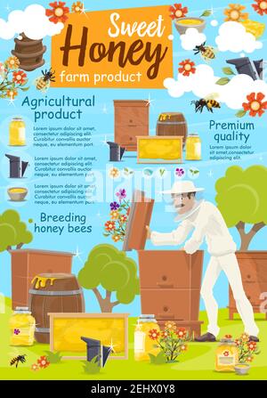 Beekeeping poster for apiary and beekeeper. Man taking honey from beehive with bees swarm flying around on beekeeping farm. Jars and barrels or honeyc Stock Vector