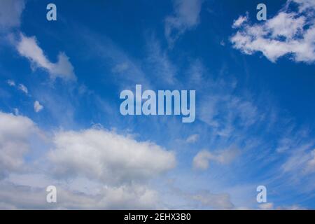 A group of feathery summer clouds in a blue sky Stock Photo