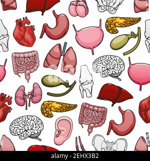Human organs, joints and bones pattern. Vector seamless design of medical anatomy brain, heart or lungs and liver with pelvis, kidney or testicles and Stock Vector