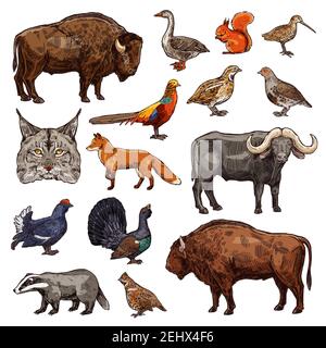 Wild animals and birds icons of hunting sport vector theme. African buffalo, bison and forest fox, pheasant, goose and quail, ox, grouse and lynx, squ Stock Vector