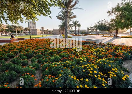 Wonderful evening view in Dammam park - City : Dammam, Saudi Arabia. Selective focused and background blurred. Stock Photo