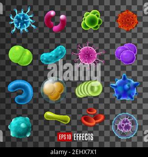 Virus and microbe, molecule and blood cells, microscopic germs infection of live creatures. Biology and medicine laboratory, elements of round and obl Stock Vector