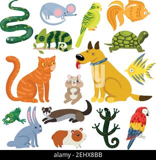 Pets set of colorful icons with cat and dog, fishes, rodents, parrots and reptiles isolated vector illustration Stock Vector