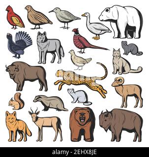 Forest and savannah animal vector characters, hunting sport. Bear and wolf, lynx and jaguar, squirrel and nutria, fox and buffalo, goat and gazelle. Q Stock Vector