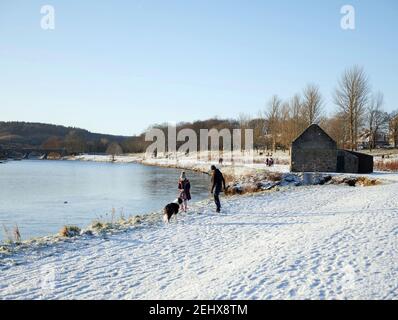 Man and daughter playing with collie dog in snow on banks of the river Dee Stock Photo