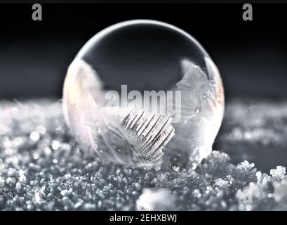 Frozen soap bubble lies on white snow. Selective focus Stock Photo