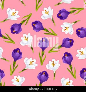 Crocus flowers pattern . Vector seamless design of white and pink purple floral ornament with blooming crocuses buds and leaves, wedding or love roman Stock Vector