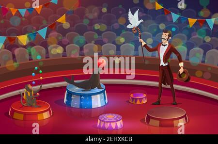 Circus arena, magician conjurer juggler or animal handler with dove on stick, trained monkey and seal juggling or balancing balls. Vector circus perfo Stock Vector