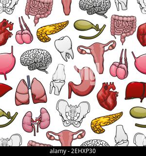 Human organs, bones and joints seamless pattern background. Heart, brain and lungs, kidney, liver and intestines, pelvis, knee and tooth, uterus, test Stock Vector