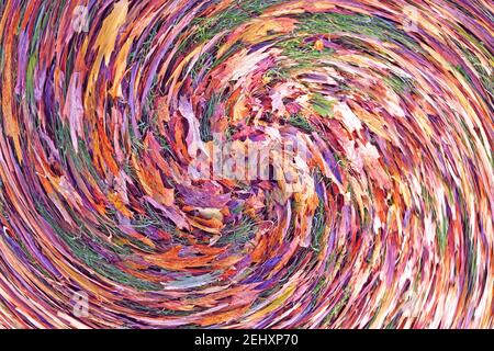 Abstract: Swirl or spiral of purple orange red tinted Autumn leaves lying on green grasses Stock Photo