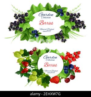 Fruits and berries garden harvest posters isolated. Green leafy branches with round badge for natural organic food vector. Strawberry and raspberry, b Stock Vector