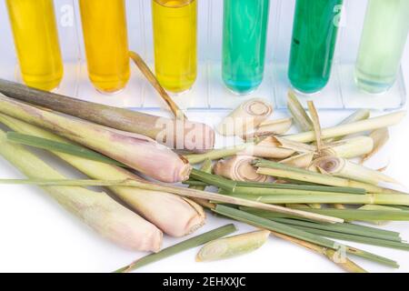 Close-up on lemongrass essential oil extract with test tubes in laboratory setting Stock Photo