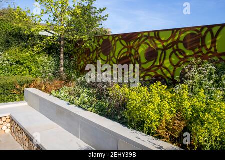 A modern urban garden fence panels and a stone bench - Spring -flower border - blue sky - Corylus colurna - a Turkish hazel tree -England UK Stock Photo