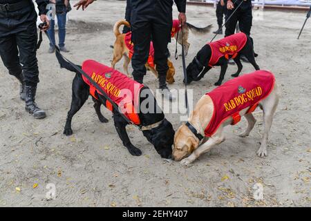 February 20, 2021, Dhaka, Dhaka, Bangladesh: RAB dog squad inspect in front of Central Shaheed Minar in the capital as part of stepped-up security measures ahead of International Mother Language Day and Shaheed Dibosh in Dhaka, Bangladesh on February 18, 2021. (Credit Image: © Zabed Hasnain Chowdhury/ZUMA Wire) Stock Photo