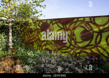 A modern garden corten steel green garden fence panels - Spring -flower border - blue sky - Corylus colurna - a Turkish hazel tree -England UK Stock Photo