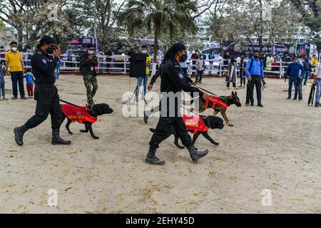 February 20, 2021, Dhaka, Dhaka, Bangladesh: RAB dog squad inspect in front of Central Shaheed Minar in the capital as part of stepped-up security measures ahead of International Mother Language Day and Shaheed Dibosh in Dhaka, Bangladesh on February 18, 2021. (Credit Image: © Zabed Hasnain Chowdhury/ZUMA Wire) Stock Photo