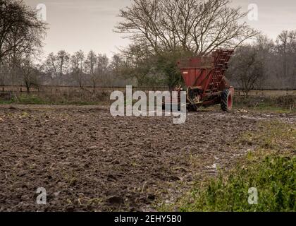 Farmers sugar beet vehicle in corner of a Norfolk field. Stock Photo