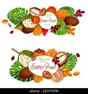 Exotic fruits and berries vector posters with tropical star apple, cantaloupe and persimmon, dates, kiwano and marang, miracle fruit, champakka and cu Stock Vector
