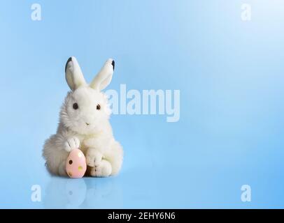 White Easter bunny rabbit with pink painted egg on blue background. Easter holiday concept. Stock Photo