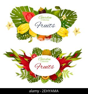 Exotic tropical fruits vector design with orange, grapefruit and lychee, feijoa, passion and dragon fruits, pear, guava and mangosteen, rambutan and t Stock Vector