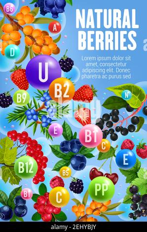 Vitamins and minerals in garden and forest berries. Vector multivitamins complex in berry fruits cherry, cranberry or sea buckthorn, honeysuckle and j Stock Vector
