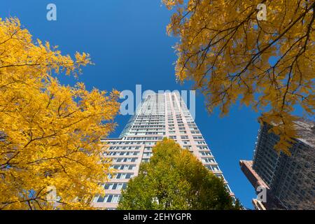 Lower Manhattan skyscraper stands behind the autumn leaf color trees at New York City NY USA. Stock Photo