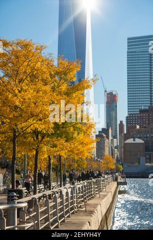 Lower Manhattan skyscraper stands behind the autumn leaf color trees along the Hudson River at New York City NY USA. Stock Photo