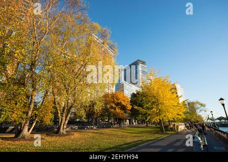 Lower Manhattan skyscraper stands behind the autumn leaf color trees along the Hudson River at New York City NY USA. Stock Photo