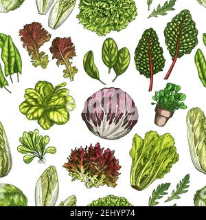 Salad leaves and culinary herbs seamless pattern, vegetable greens vector background. Lettuce, spinach and arugula, iceberg, radicchio and romaine, en Stock Vector
