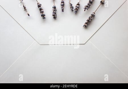 Large white envelope with lavender close-up. Beutiful envelope Stock Photo