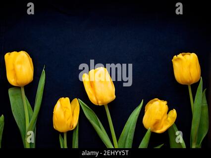 Flowers composition. Frame made of  yellow tulips on blue background. Valentines day, mothers day and womens day concept. Flat lay, top view. Stock Photo