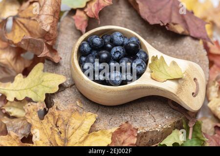 Blueberries in a wooden mug, on a stump surrounded by dry leaves. High quality photo Stock Photo