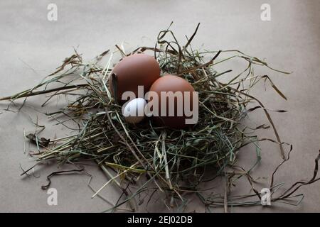 White and brown fresh eggs with dry hay straw. Nature background ...