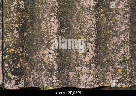 Abstract Texture of gray roofing slate with waves and gradient. Old Dirty Slate Sheet Covered With Lichen. Stock Photo