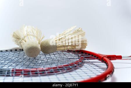 two red badmintong rackets together with Shuttlecocks on top. weird sports. unusual sports. youth sports. Stock Photo