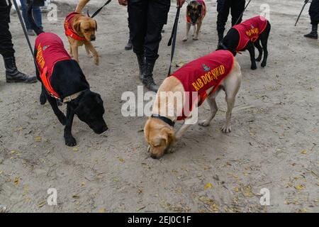 RAB dog squad inspect in front of Central Shaheed Minar in the capital as part of stepped-up security measures ahead of International Mother Language Day and Shaheed Dibosh in Dhaka, Bangladesh on February 18, 2021. Stock Photo