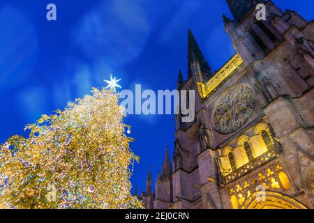 Christmas tree in front of St. Andrew's cathedral at night in Bordeaux in New Aquitaine, France Stock Photo