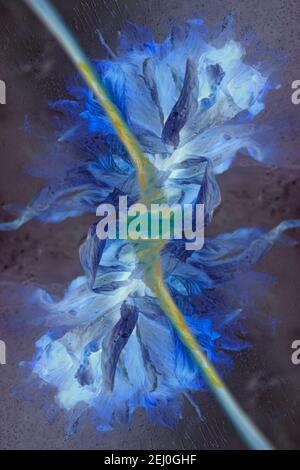 WA192845-00...WASHINGTON - A dried daffodil on ice. Stock Photo