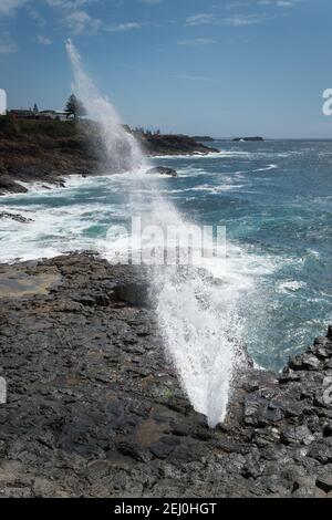 Little blowhole, Kiama, New South Wales, Australia. Stock Photo